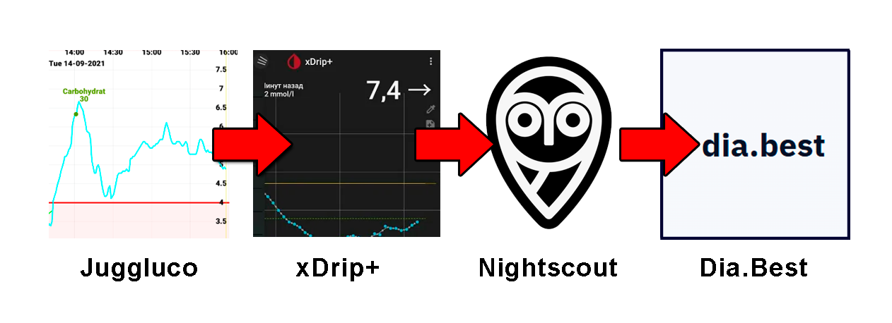 Схема подключения dia.best через Nightscout